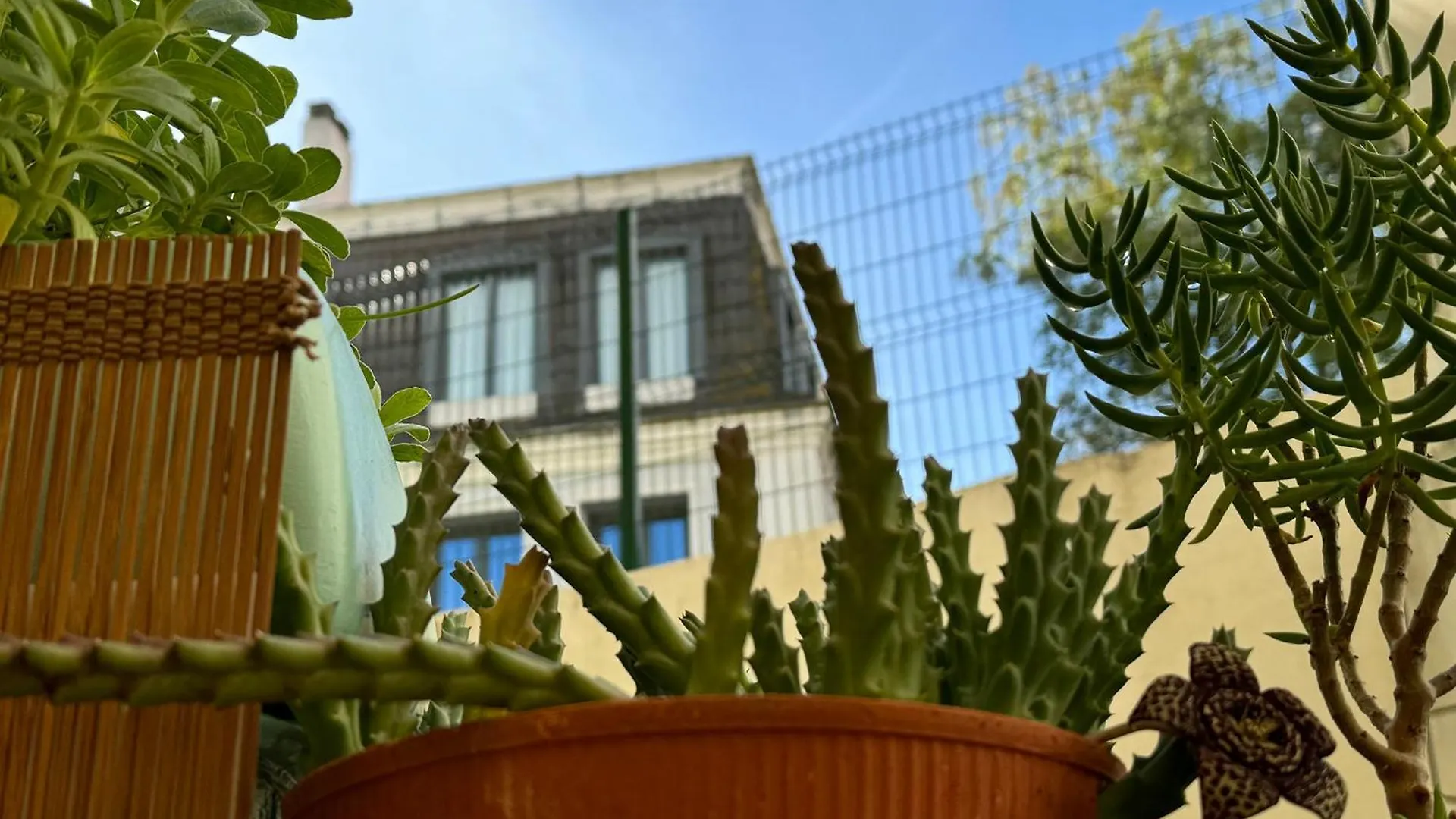 Apartmán Birbantes 21 Lisboa Portugalsko